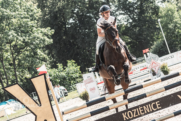 Zawody ZRiT Kozienice Lipiec 2026
