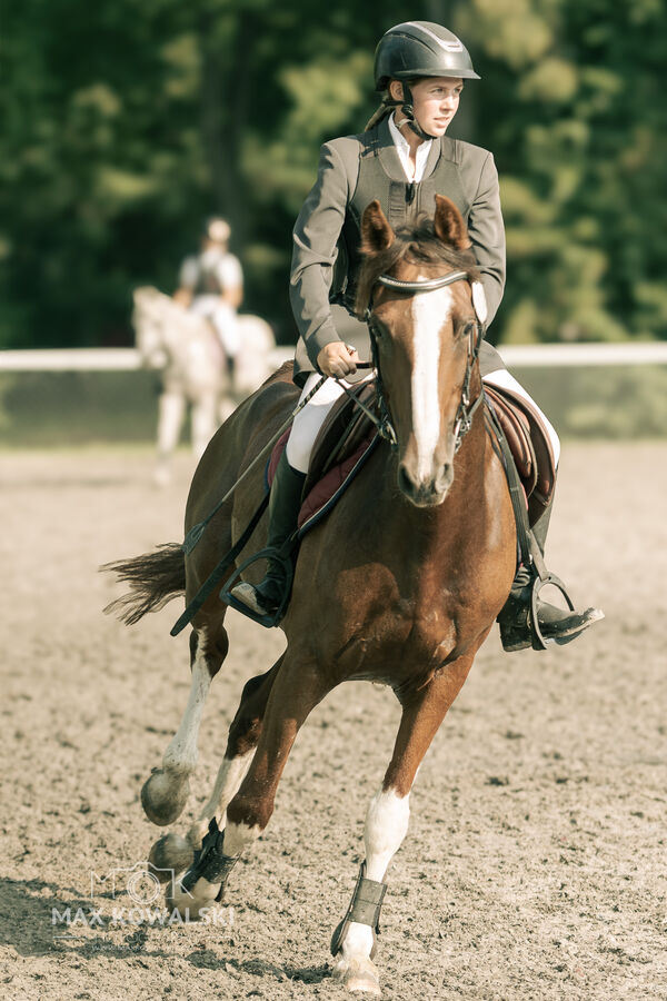 JUMPING SHOW - ZRiT Kozienice Sierpień 2024