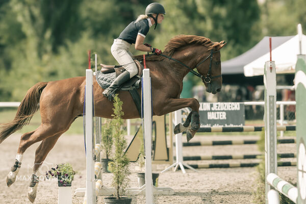 JUMPING SHOW - ZRiT Kozienice Sierpień 2024
