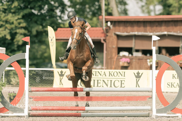 JUMPING SHOW - ZRiT Kozienice Sierpień 2024