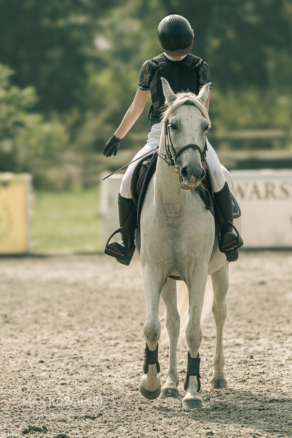 JUMPING SHOW - ZRiT Kozienice Sierpień 2024
