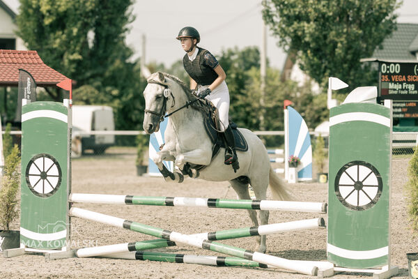 JUMPING SHOW - ZRiT Kozienice Sierpień 2024