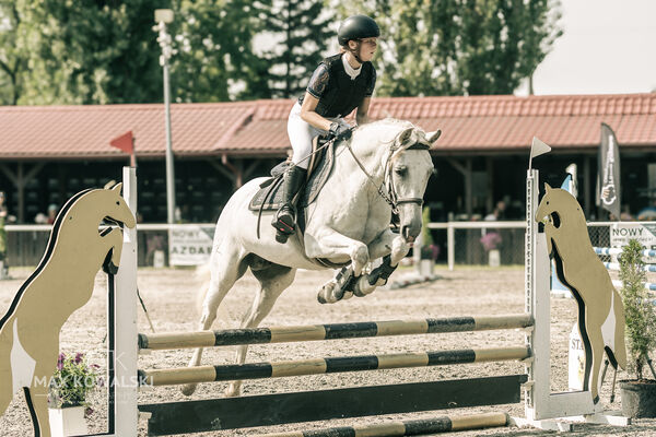JUMPING SHOW - ZRiT Kozienice Sierpień 2024