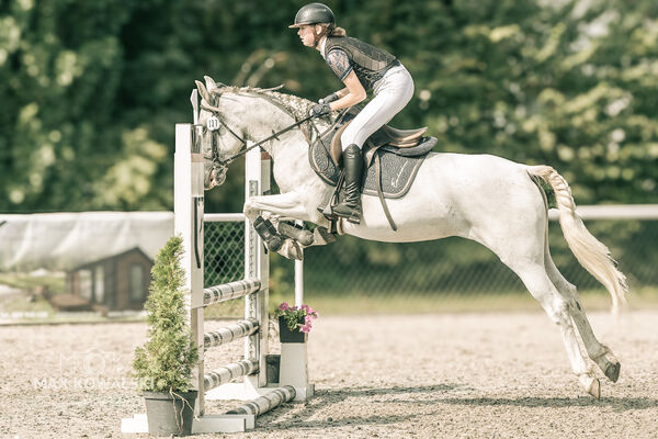 JUMPING SHOW - ZRiT Kozienice Sierpień 2024