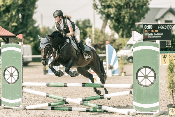 JUMPING SHOW - ZRiT Kozienice Sierpień 2024
