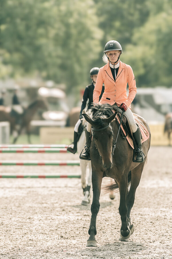 JUMPING SHOW - ZRiT Kozienice Sierpień 2024