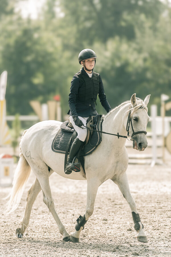 JUMPING SHOW - ZRiT Kozienice Sierpień 2024