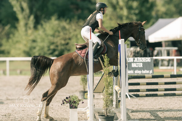 JUMPING SHOW - ZRiT Kozienice Sierpień 2024