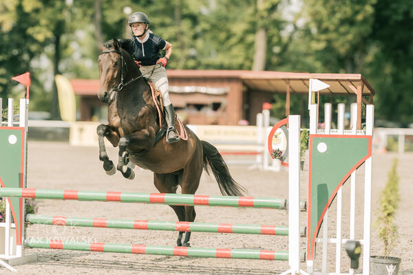 JUMPING SHOW - ZRiT Kozienice Sierpień 2024