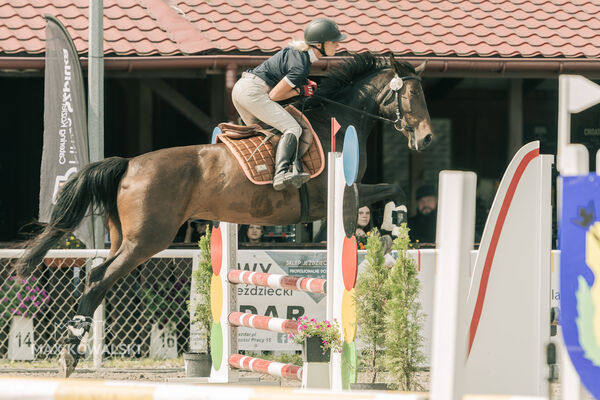 JUMPING SHOW - ZRiT Kozienice Sierpień 2024
