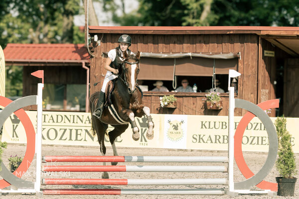 JUMPING SHOW - ZRiT Kozienice Sierpień 2024