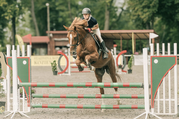 JUMPING SHOW - ZRiT Kozienice Sierpień 2024