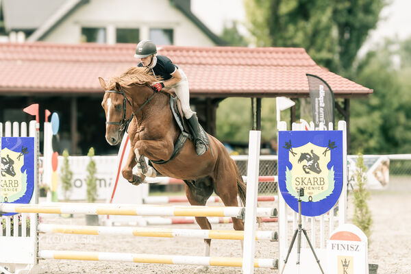 JUMPING SHOW - ZRiT Kozienice Sierpień 2024
