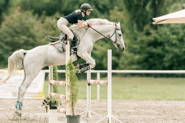 JUMPING SHOW - ZRiT Kozienice Sierpień 2024