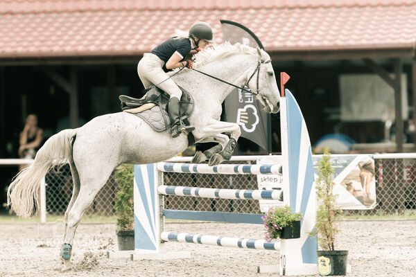 JUMPING SHOW - ZRiT Kozienice Sierpień 2024