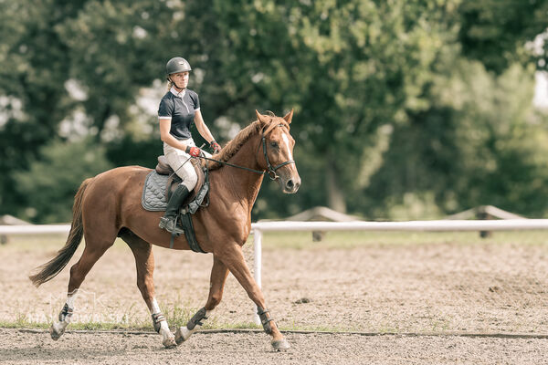 JUMPING SHOW - ZRiT Kozienice Sierpień 2024