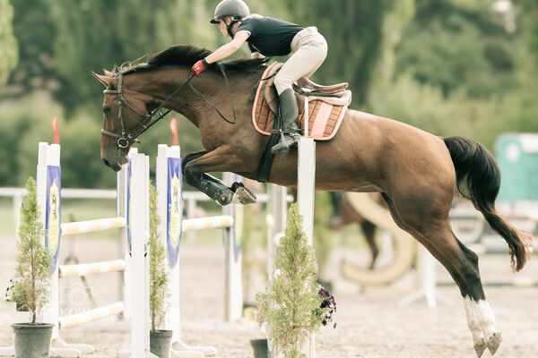 JUMPING SHOW - ZRiT Kozienice Sierpień 2024