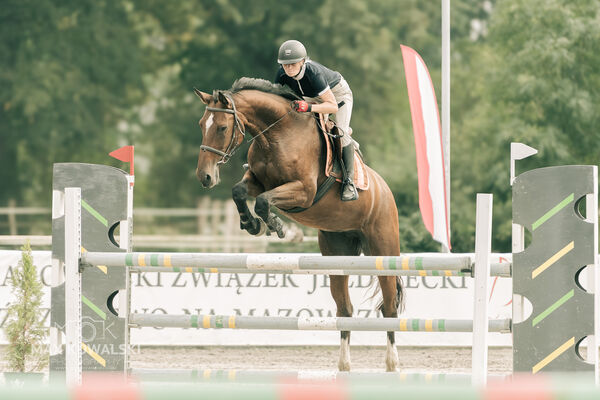 JUMPING SHOW - ZRiT Kozienice Sierpień 2024