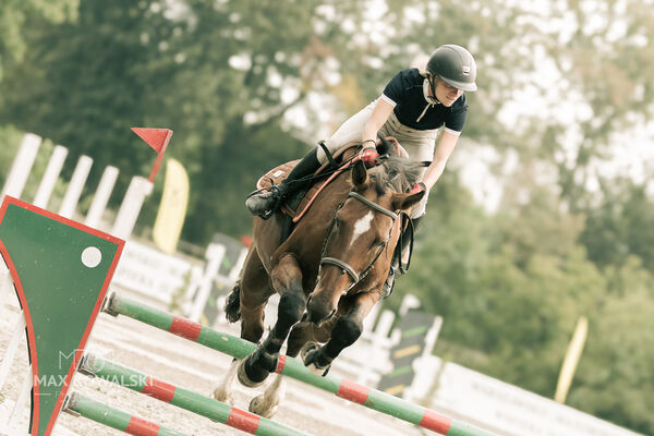 JUMPING SHOW - ZRiT Kozienice Sierpień 2024