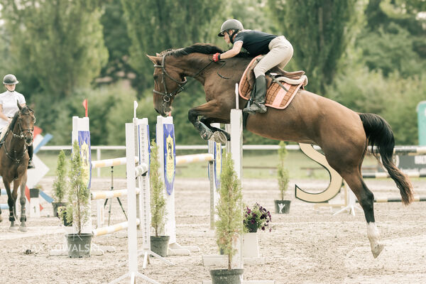 JUMPING SHOW - ZRiT Kozienice Sierpień 2024