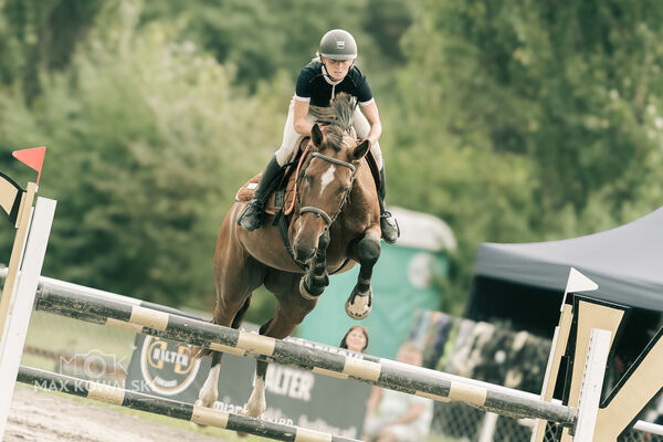 JUMPING SHOW - ZRiT Kozienice Sierpień 2024