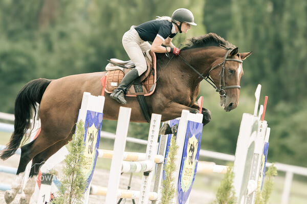 JUMPING SHOW - ZRiT Kozienice Sierpień 2024
