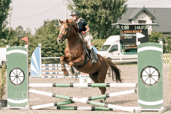 JUMPING SHOW - ZRiT Kozienice Sierpień 2024