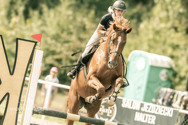 JUMPING SHOW - ZRiT Kozienice Sierpień 2024