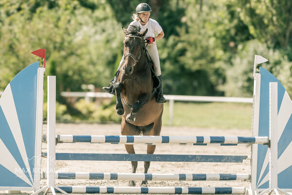 JUMPING SHOW - ZRiT Kozienice Sierpień 2024