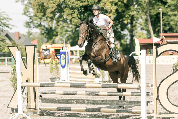 JUMPING SHOW - ZRiT Kozienice Sierpień 2024