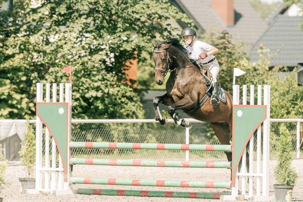 JUMPING SHOW - ZRiT Kozienice Sierpień 2024