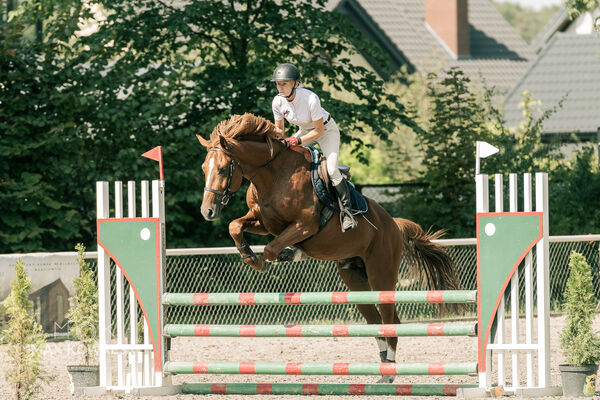 JUMPING SHOW - ZRiT Kozienice Sierpień 2024