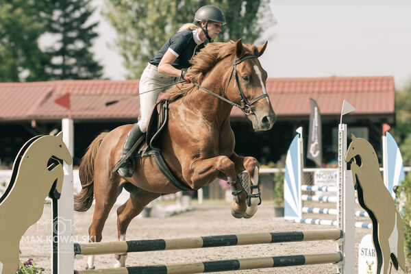 JUMPING SHOW - ZRiT Kozienice Sierpień 2024