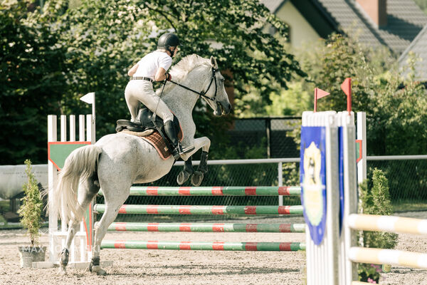 JUMPING SHOW - ZRiT Kozienice Sierpień 2024