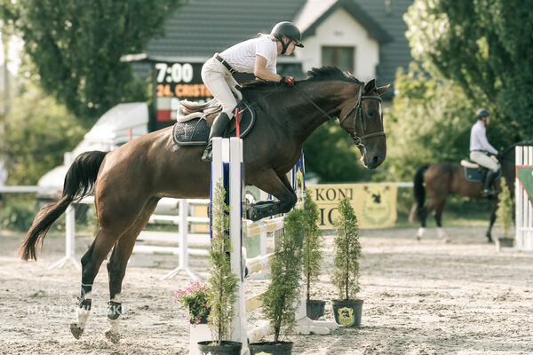 JUMPING SHOW - ZRiT Kozienice Sierpień 2024