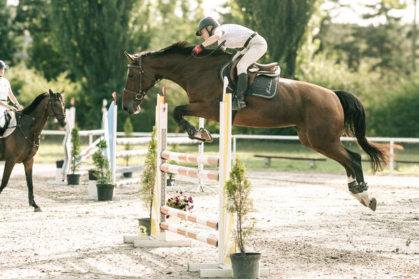 JUMPING SHOW - ZRiT Kozienice Sierpień 2024