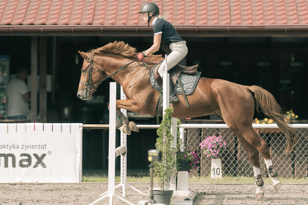 JUMPING SHOW - ZRiT Kozienice Sierpień 2024