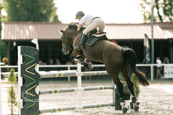 JUMPING SHOW - ZRiT Kozienice Sierpień 2024
