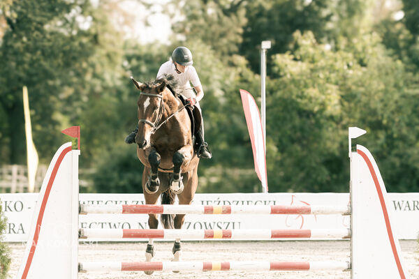 JUMPING SHOW - ZRiT Kozienice Sierpień 2024