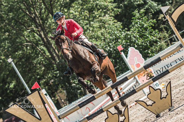 SFT i przyjaciele Jumping Show - KJ Skarb Kozienice ZRiT 22-23.08.2026