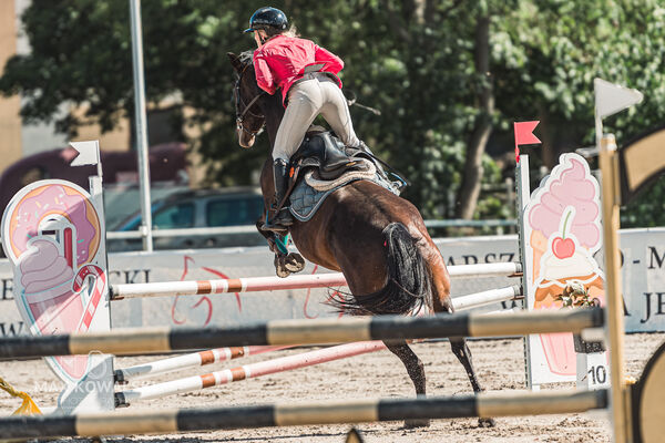 SFT i przyjaciele Jumping Show - KJ Skarb Kozienice ZRiT 22-23.08.2026
