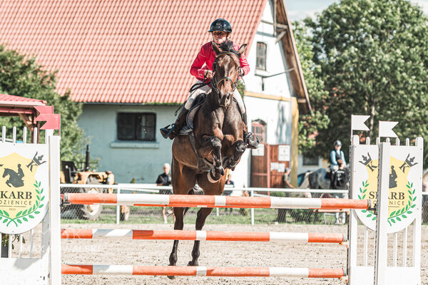SFT i przyjaciele Jumping Show - KJ Skarb Kozienice ZRiT 22-23.08.2026