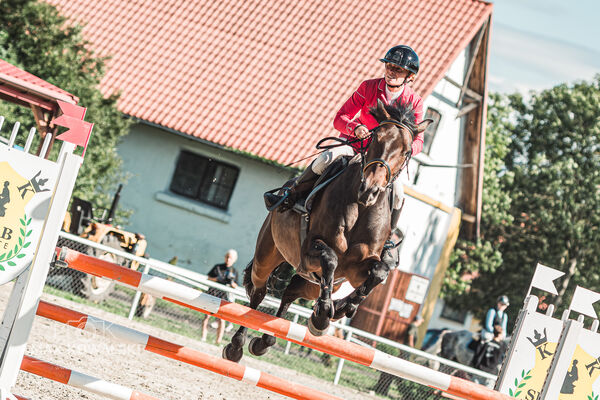 SFT i przyjaciele Jumping Show - KJ Skarb Kozienice ZRiT 22-23.08.2026