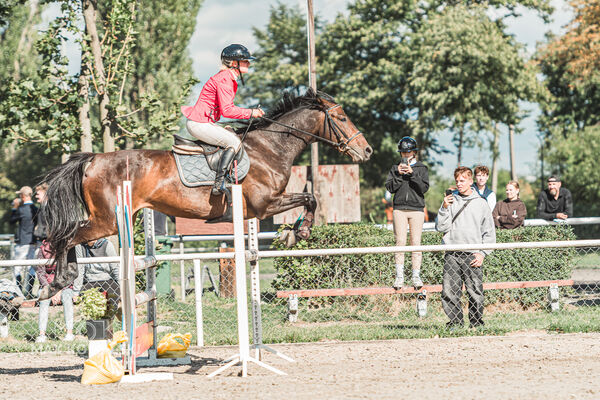 SFT i przyjaciele Jumping Show - KJ Skarb Kozienice ZRiT 22-23.08.2026