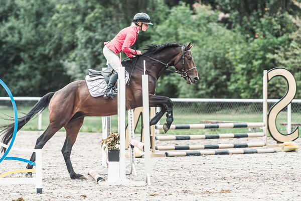SFT i przyjaciele Jumping Show - KJ Skarb Kozienice ZRiT 22-23.08.2026
