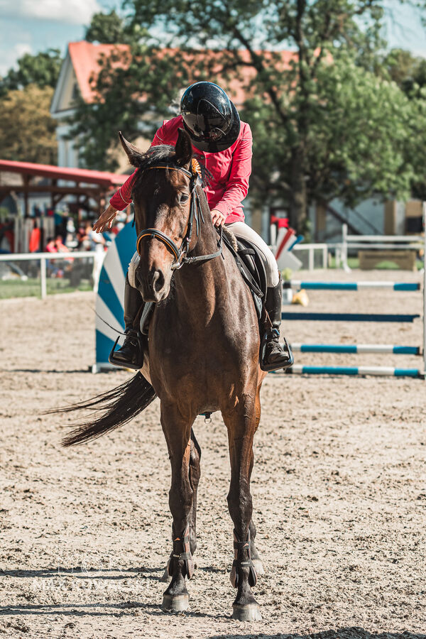 SFT i przyjaciele Jumping Show - KJ Skarb Kozienice ZRiT 22-23.08.2026