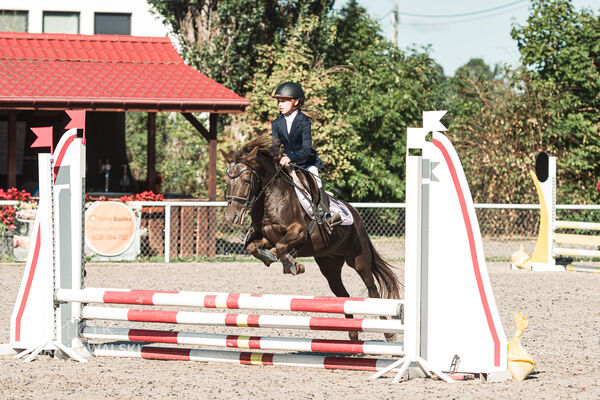 SFT i przyjaciele Jumping Show - KJ Skarb Kozienice ZRiT 22-23.08.2026