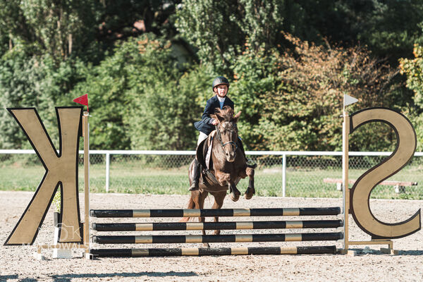 SFT i przyjaciele Jumping Show - KJ Skarb Kozienice ZRiT 22-23.08.2026