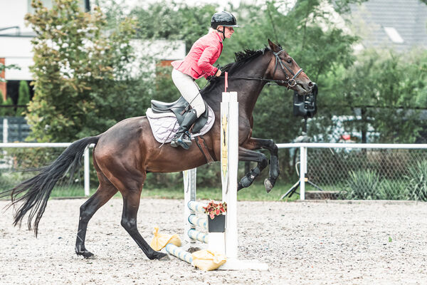 SFT i przyjaciele Jumping Show - KJ Skarb Kozienice ZRiT 22-23.08.2026