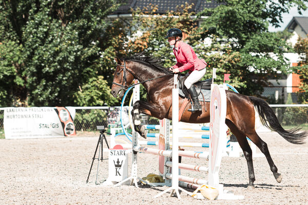 SFT i przyjaciele Jumping Show - KJ Skarb Kozienice ZRiT 22-23.08.2026